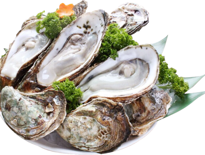 Oyster Huîtres Ostra - Harrati Trading Processing and export of seafood product