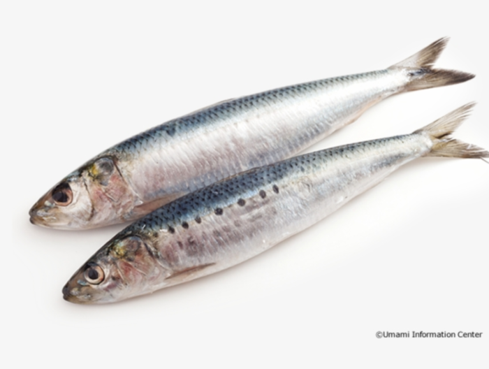 Sardine - Harrati Trading Processing and export of seafood product